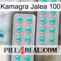 Kamagra Jelly 100 29